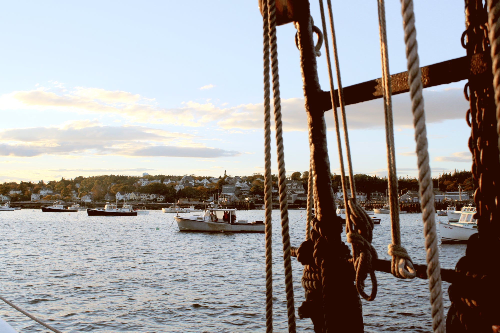 2021 Impact Reflection: Where We Are & Where We Want to Be