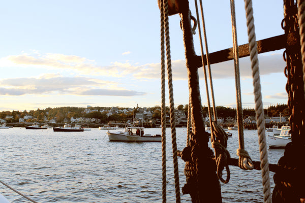 2021 Impact Reflection: Where We Are & Where We Want to Be