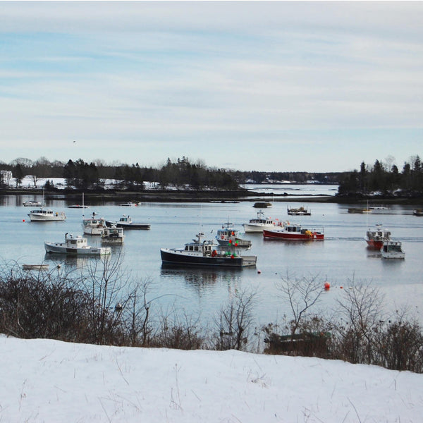 The Federal Budget Bill & Maine Lobster