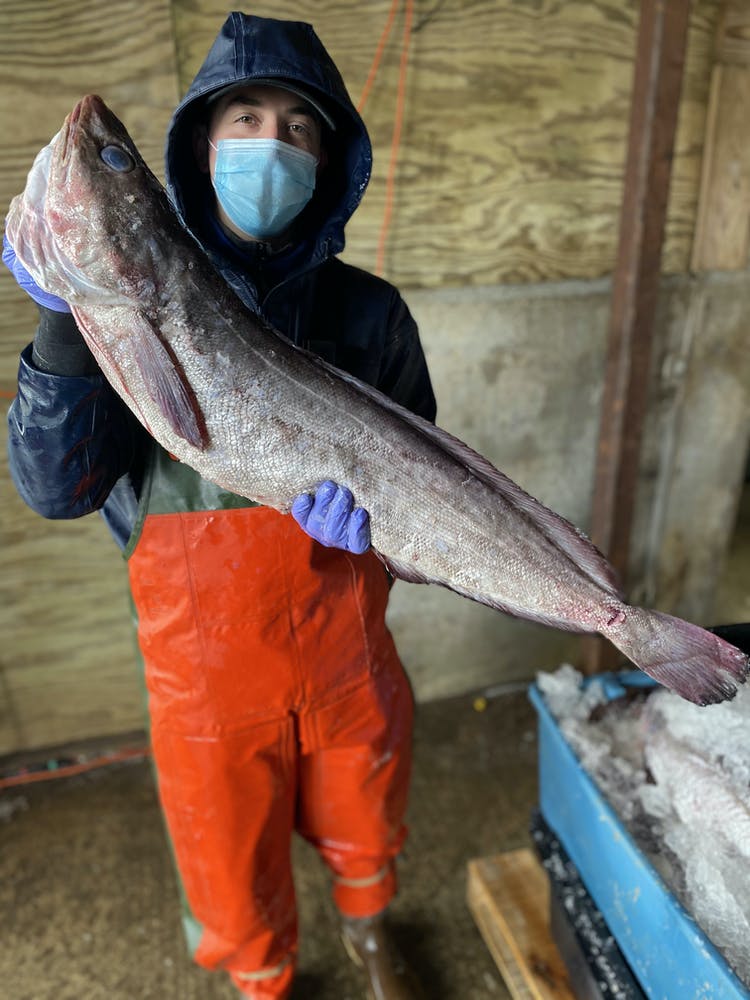 A man holding up a very large fish