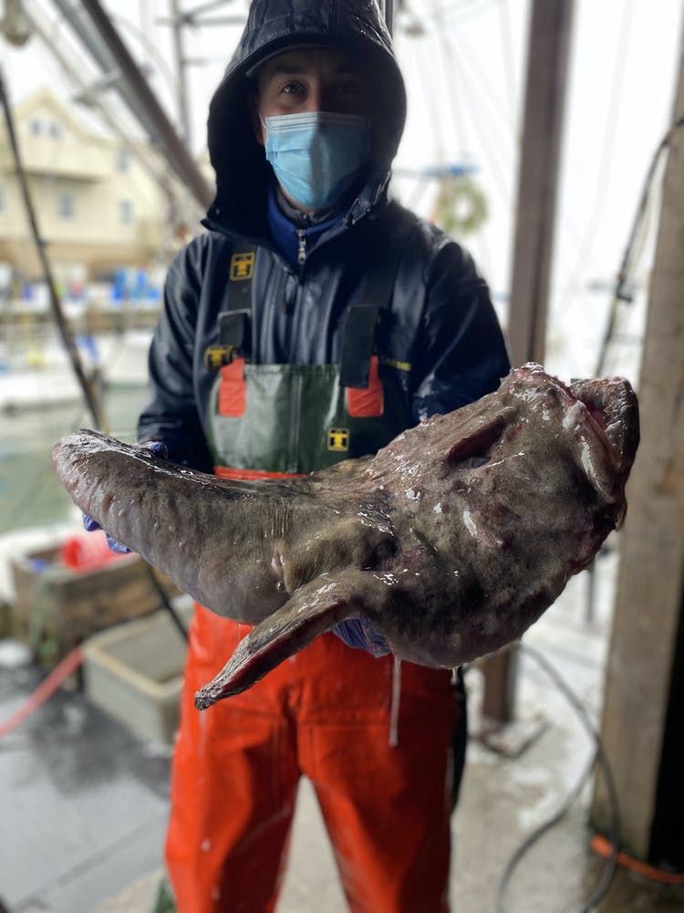 A man holding up a very large fish