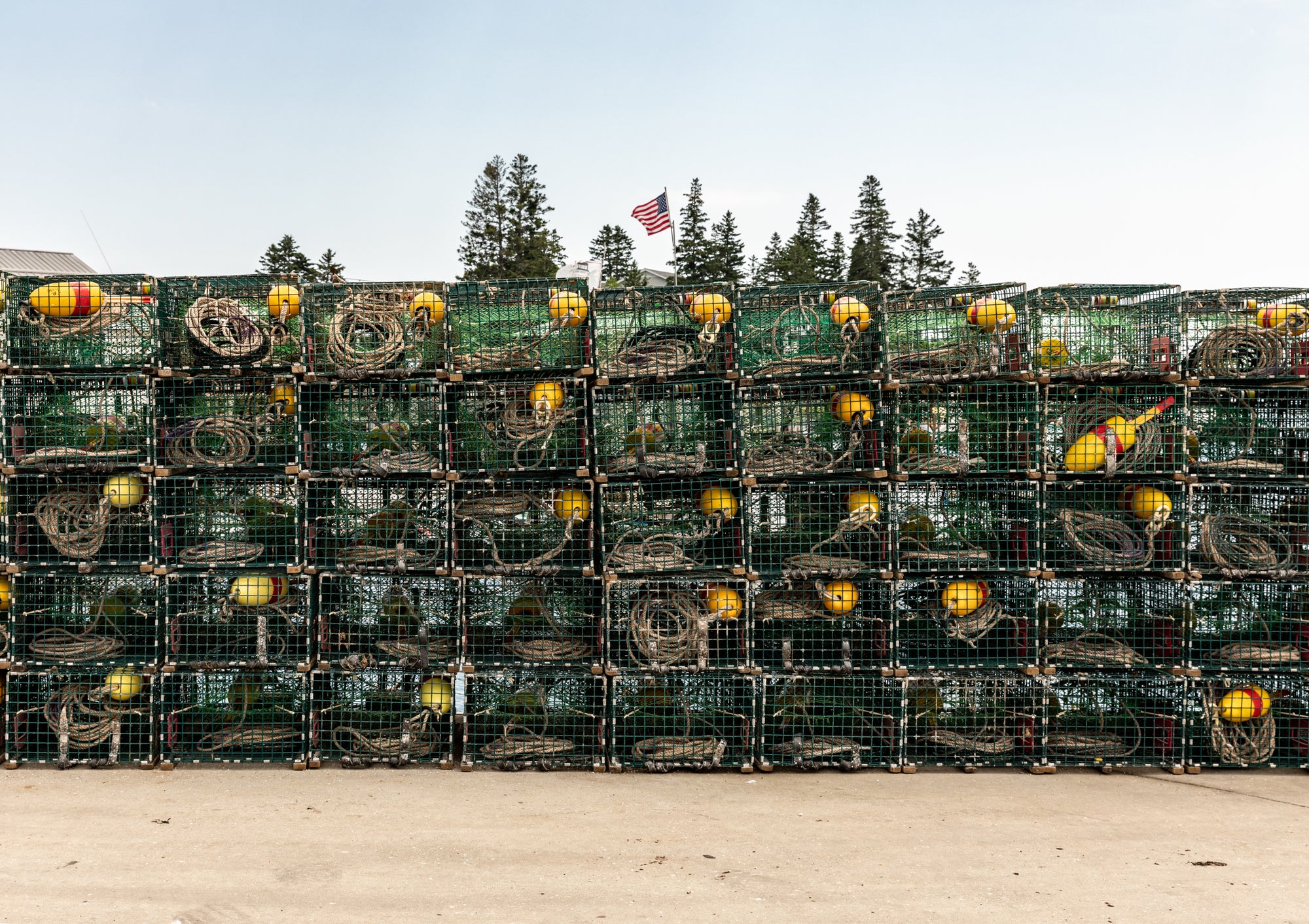 A Few of Our Favorite Things: Giving Tuesday 2021