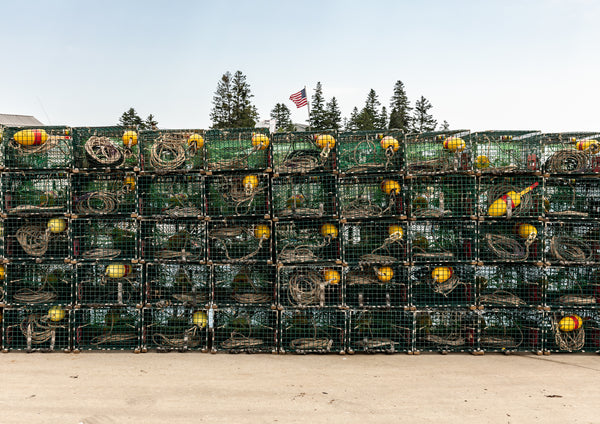 A Few of Our Favorite Things: Giving Tuesday 2021