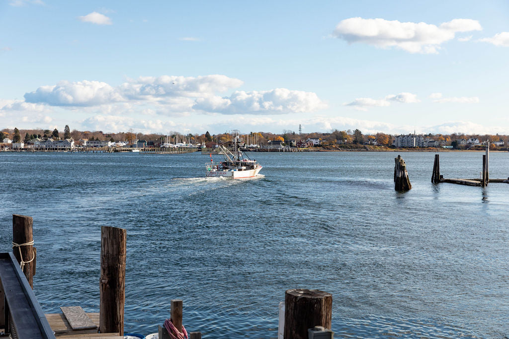 A Few of our Favorite Things: Wellness and Self-Care in the New Year